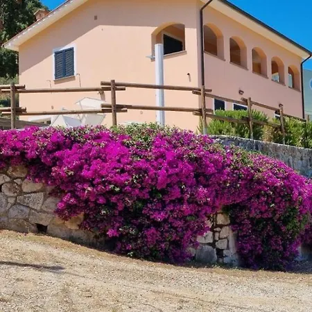 Elegante Perelle - Goelba